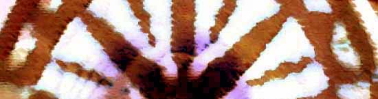 index_r